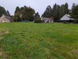 Land for sale - 10 000 m2 - CARENTOIR - (56910), 33,000.00 €, Carentoir, Morbihan, 56910